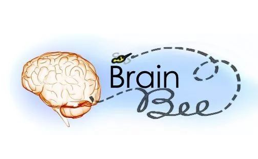 为什么说BRAIN BEE是神经科学生必选的竞赛之一？
